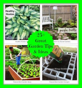 25+ Garden Tips