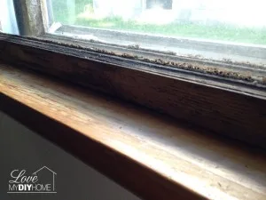 Foreclosed Home Redo {Love My DIY Home}
