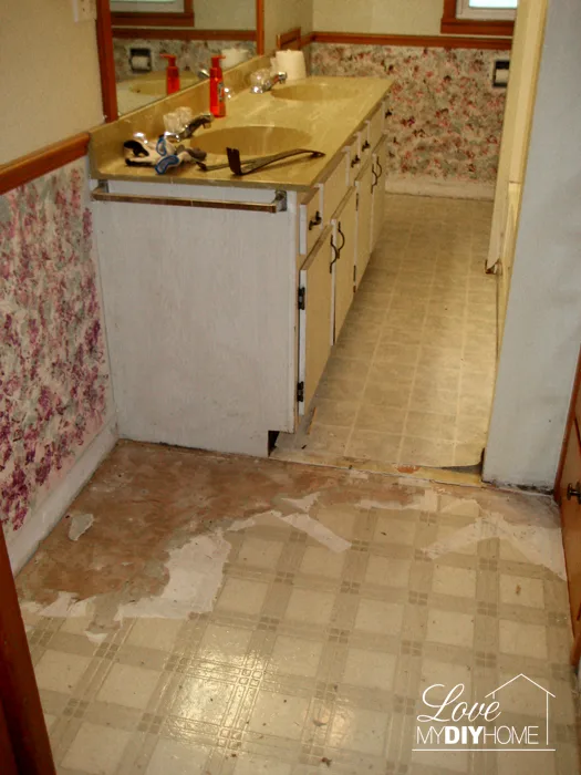 Bathroom Reno Before {Love My DIY Home}