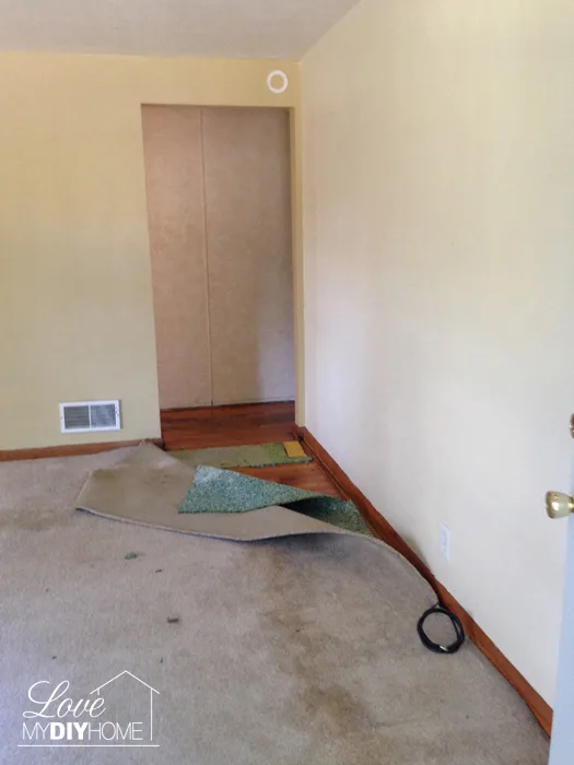 Disgusting Foreclosed Home {Love My DIY Home}