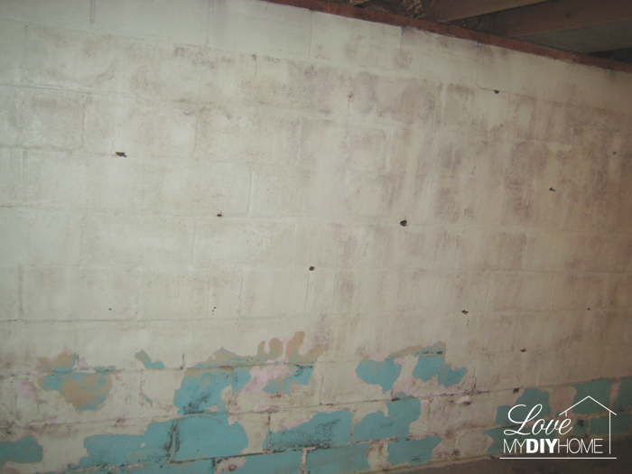 Basement Reno - You never know what is behind those walls!Basement Reno - You never know what is behind those walls!