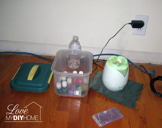 Diffusing Young Living Essential Oils {LMDH}
