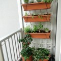 Balcony Gardens {Love My DIY Home}