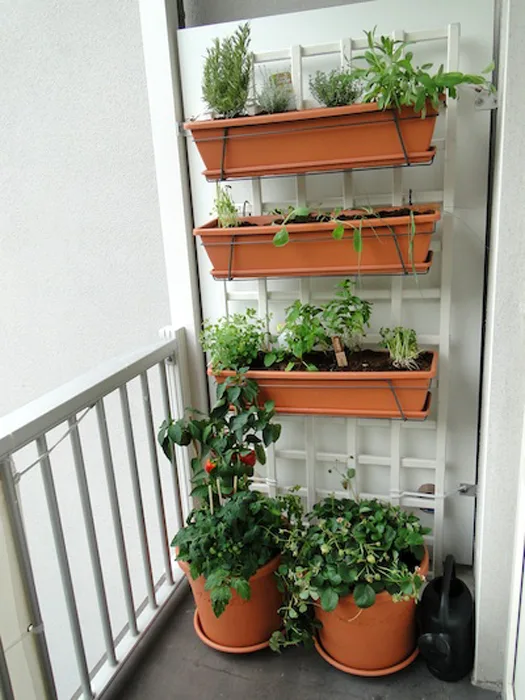 Balcony Gardens {Love My DIY Home}