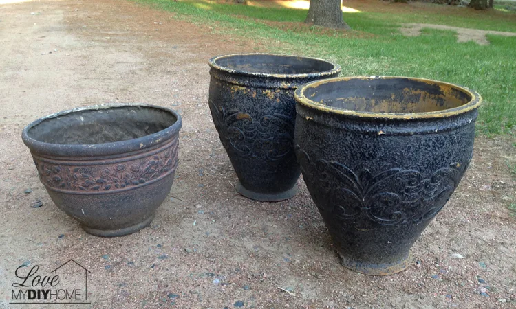 Big Pot2