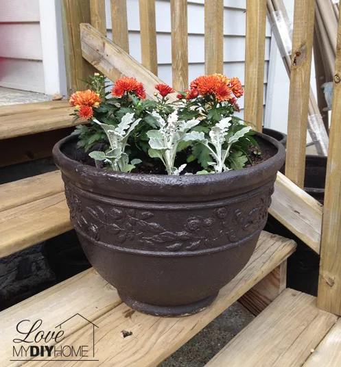 Outdoor Pots Revived! {Love My DIY Home}