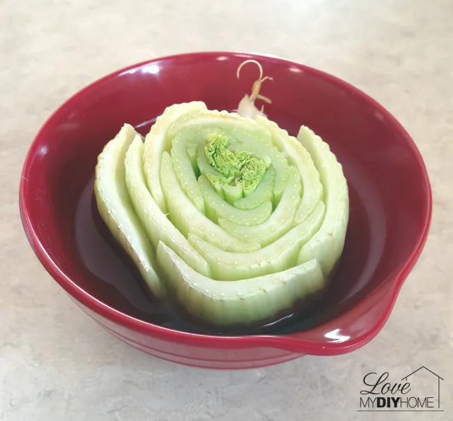 Grow lettuce and celery on your windowsill from table scraps {Love My DIY Home}