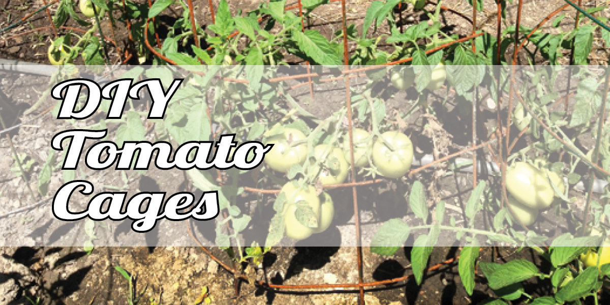 DIY Tomato Cages and Gardening Tips {Love My DIY Home}