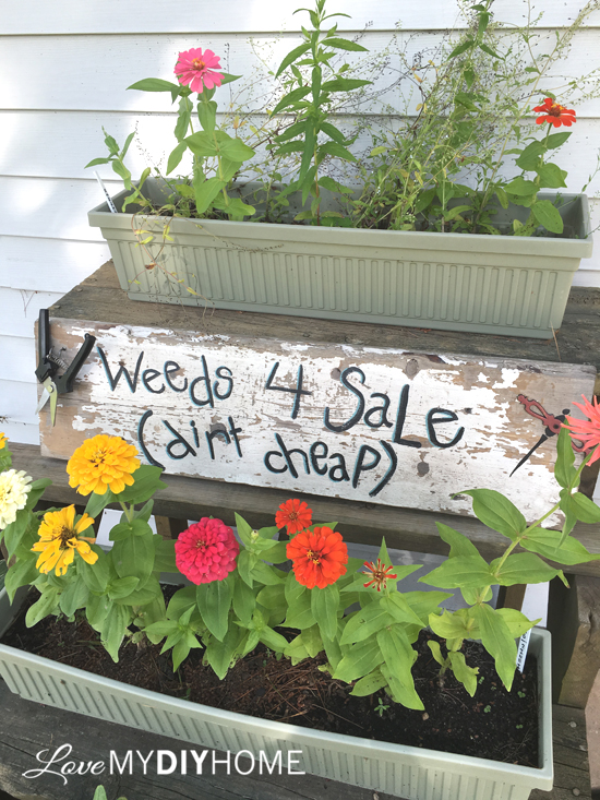 Hand Painted Garden Sign {Love My DIY Home}