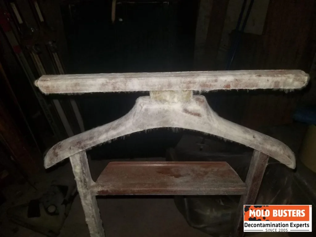 mold-on-furniture (1)
