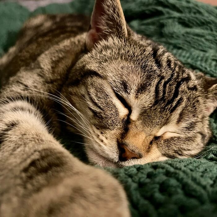 Mia asleep Mia asleep